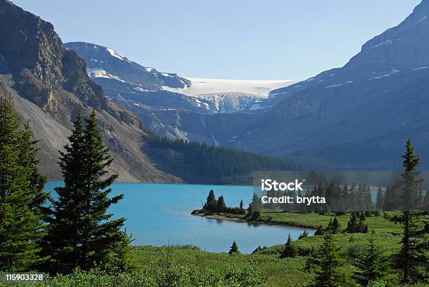 Ukłońcie Się Lodowiec I Bow Lake Wynika Z Icefields Parkway Kanada - zdjęcia stockowe i więcej obrazów Alberta