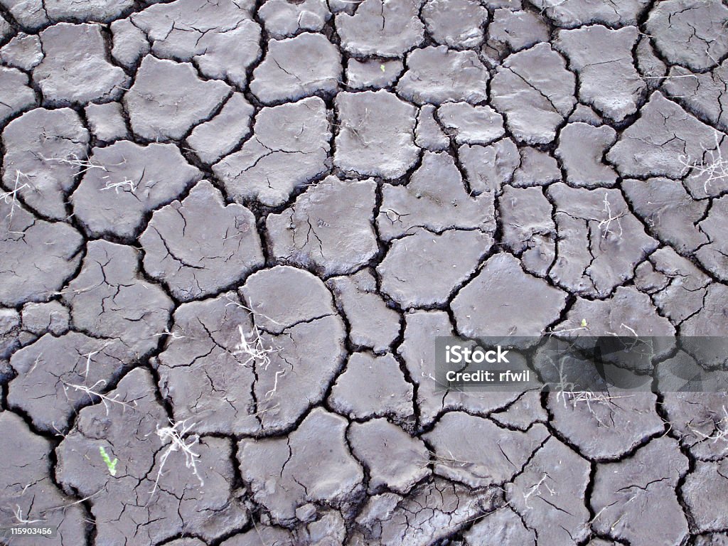 Dry Cracked Earth Cracked riverbed. Abandoned Stock Photo