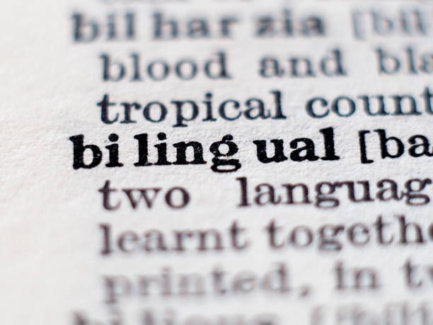 istock Definition of word bilingual 1159035148