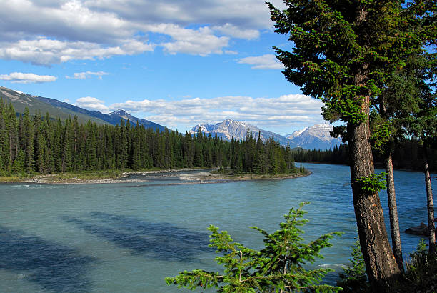 istock Athabasca River, Jasper,Jasper National Park,Alberta,Canada 115903551