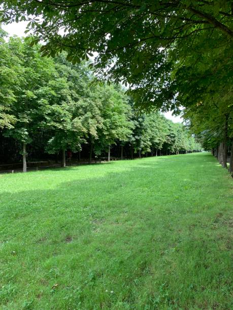 istock Walk in Saint Cloud Grounds at the gates of Paris 1159037625