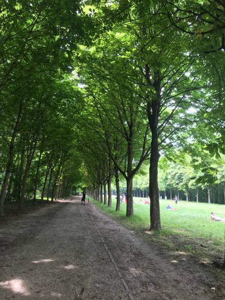istock Walk in Saint Cloud Grounds at the gates of Paris 1159037793