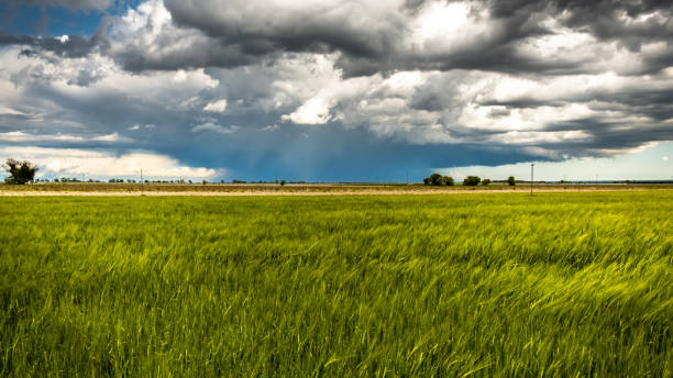 istock Big storm in the fields of Italy 1159037822