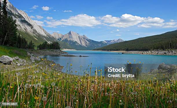 Medicina Lago Foto de stock y más banco de imágenes de Alberta - Alberta, Diente de León, Agua