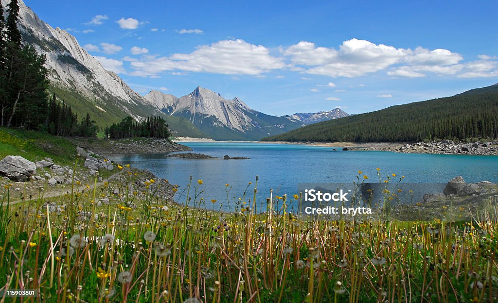 Medicine Lake - Photo de Alberta libre de droits