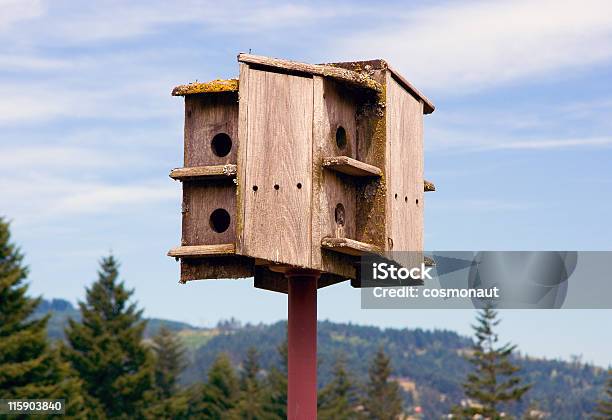 Casa De Pássaro Nas Montanhas - Fotografias de stock e mais imagens de Casa de Pássaro - Casa de Pássaro, Alimentar, Animal