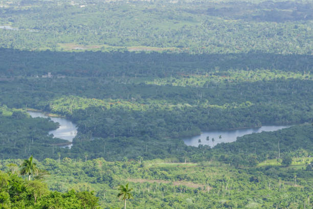 istock panoramic view of las terrazas, pinar del rio, Cuba. 1159039385