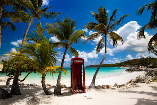 тропические пальмы и телефонная будка, идеальный пляж, дикенсон-бей, антигуа - антигуа стоковые фото и изображения