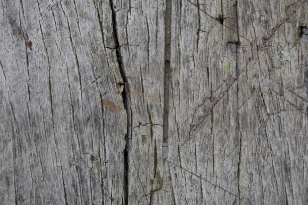 istock Old wood panels with cracks. For the background 1159045660