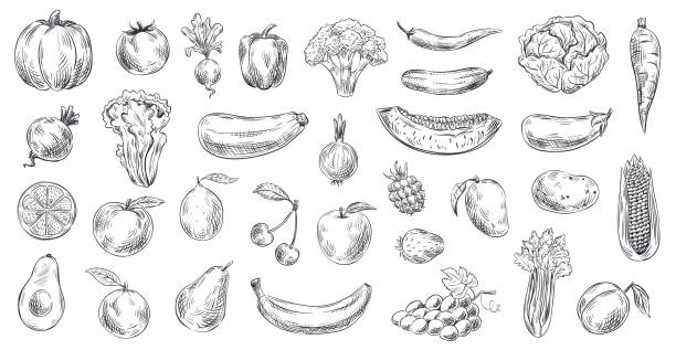 Sketched vegetables and fruits. Hand drawn organic food, engraving vegetable and fruit sketch vector illustration set Sketched vegetables and fruits. Hand drawn organic food, engraving vegetable and fruit sketch. Healthy fresh vegetarian or vegan foods doodle. Vector illustration isolated symbols set banana drawings stock illustrations