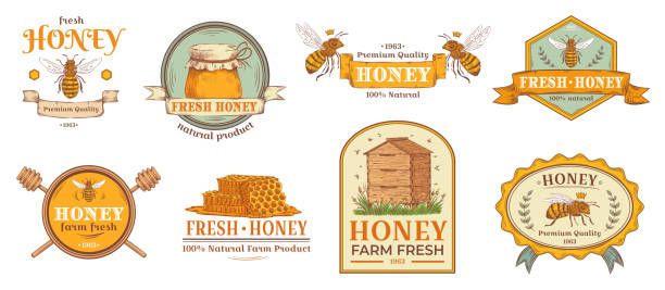 ilustrações de stock, clip art, desenhos animados e ícones de honey badge. natural bee farm product label, organic beekeeping pollen and bees hive emblem badges vector illustration set - frasco comida biologica