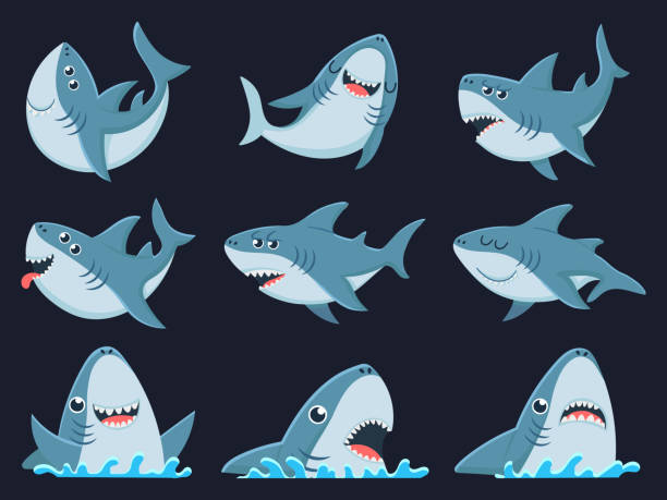 ilustraciones, imágenes clip art, dibujos animados e iconos de stock de mascota de tiburón oceánico. tiburones de miedo animales, mandíbulas sonrientes y natación tiburón dibujos animados vector ilustración conjunto - shark animal blue cartoon