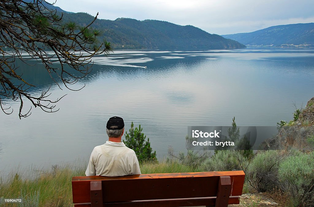 후면 보기 siting 남자 lake - 로열티 프리 오카나간 계곡-브리티시 컬럼비아 스톡 사진