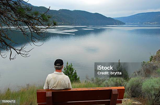후면 보기 Siting 남자 Lake 오카나간 계곡-브리티시 컬럼비아에 대한 스톡 사진 및 기타 이미지 - 오카나간 계곡-브리티시 컬럼비아, Kalamalka Lake, 경관