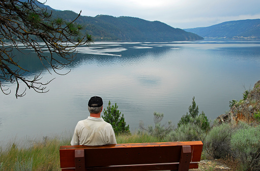 Man admiring  the scenic view,Kalamalka Lake Provincial Park,British Columbia,Canada.
