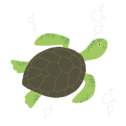 Cute sea turtle. Cartoon vector hand drawn eps 10 illustration isolated on white background in a flat style