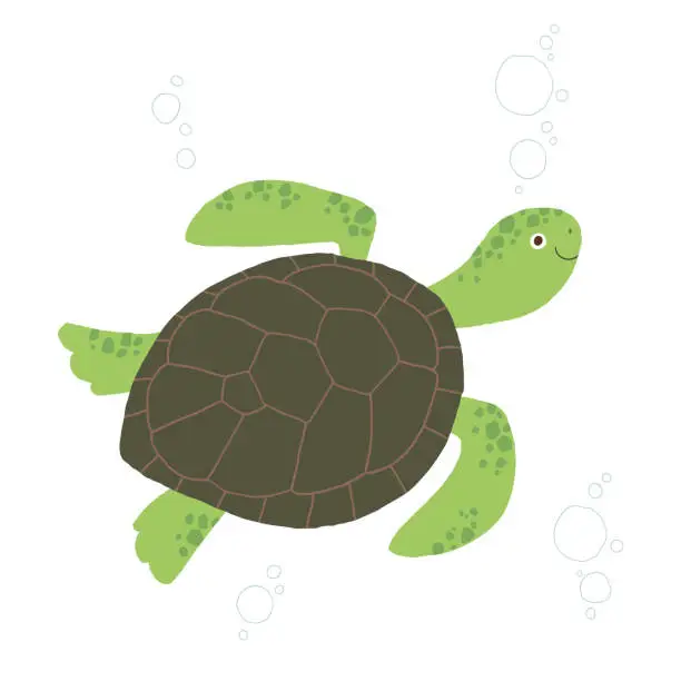 Vector illustration of Cute sea turtle. Sea tortoise smiling. Cartoon vector hand drawn eps 10 illustration isolated on white background in a flat style.