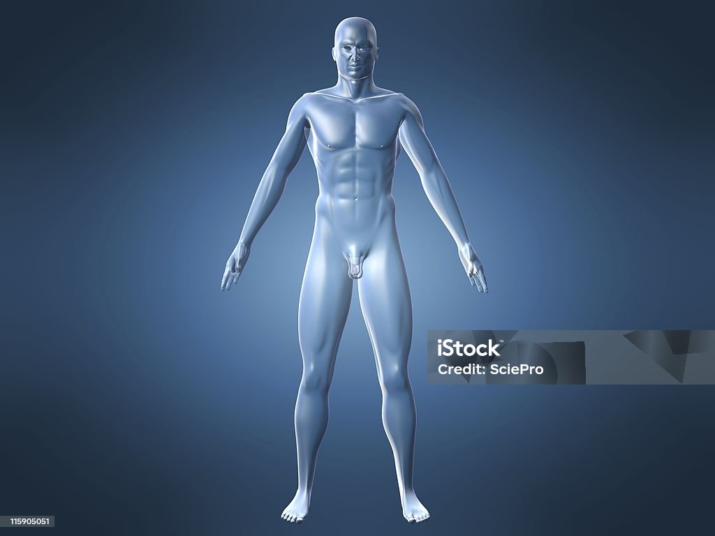 Anatomia umana - Foto stock royalty-free di Composizione orizzontale