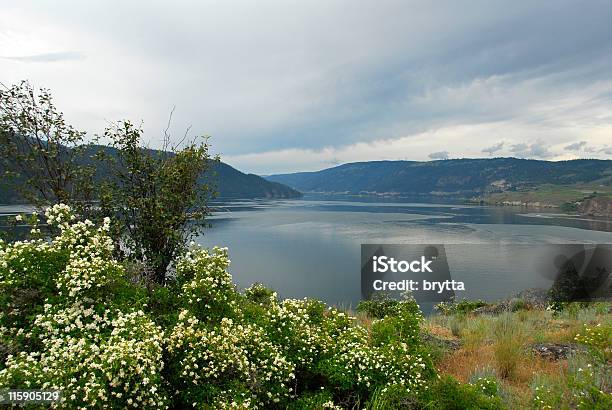 Kalamalka Lago Foto de stock y más banco de imágenes de Lago - Lago, Aire libre, América del norte