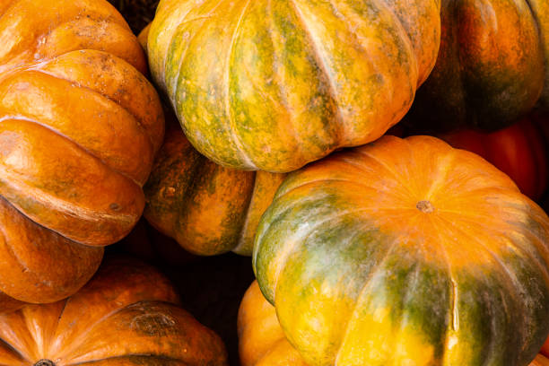 istock bunch pumpkins mini orange green vegetables autumn harvest background 1159051424