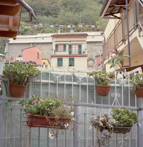 Riomaggiore, Italy - June 22, 2019: ornamental plants hang from a gate in Riomaggiore. Riomaggiore is a beautiful coastal town in Liguria, Italy. The cityscape offers a multitude of pastel-coloured buildings close to each other. Ornamental potted plants decorate a residential street. Scan of 120-format Kodak Portra 160 colour film