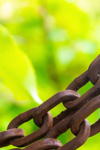 istock oval ring brown chain tight old iron close-up border copy space on blurred background 1159055230