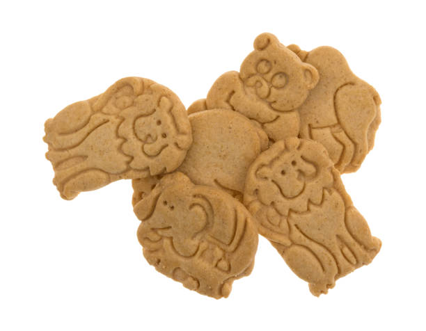 istock Group of vanilla animal cookies on a white background 1159056452