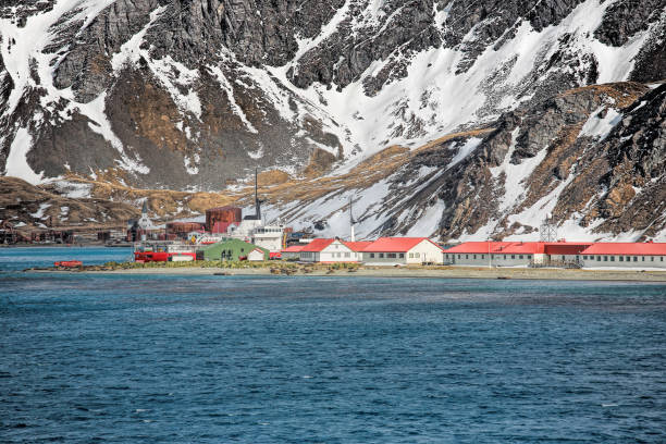 istock Grytviken, South Georgia 1159056595
