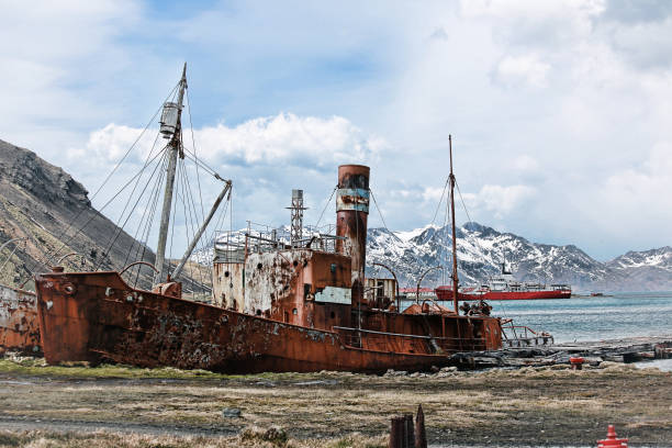 istock Grytviken, South Georgia 1159057302