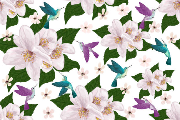 837 Jasmine Flower Pink Illustrations & Clip Art - iStock