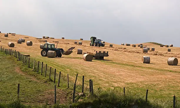 Haymaking in Northern England on a hazy summer day