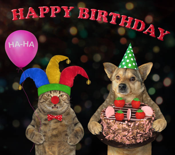 istock Dog and a cat with a strawberry pie 3 1159063605