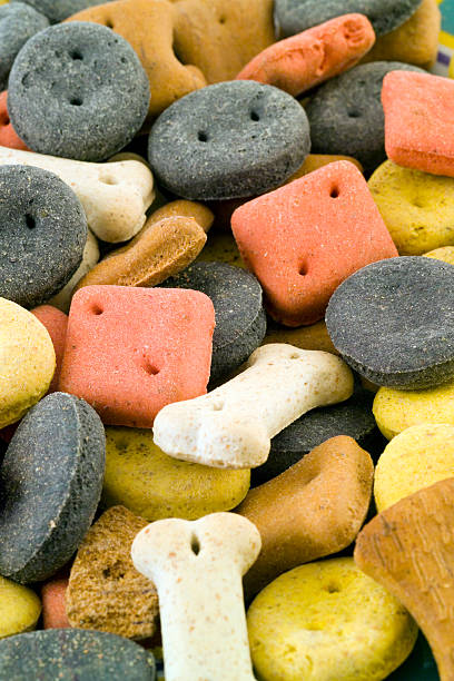 istock Dog biscuit shapes close up 115906403