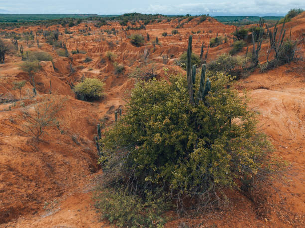 istock Overview of Tatacoa Desert landscape 1159064690