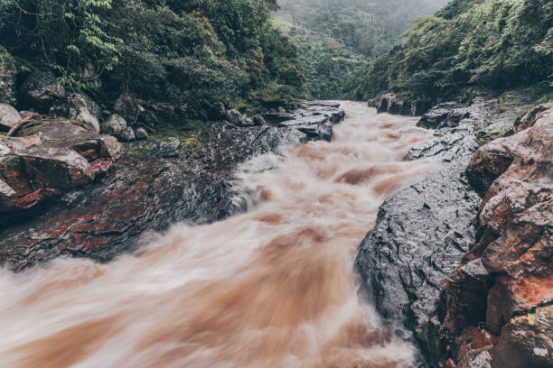 The water is dirty with sediment
