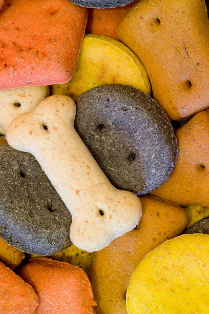 istock Close up of dog biscuits 115906515