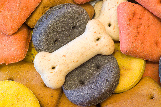 istock Close up of dog biscuits 115906520