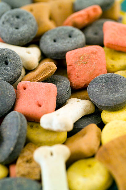 istock Dog biscuit background narrow depth of field 115906528
