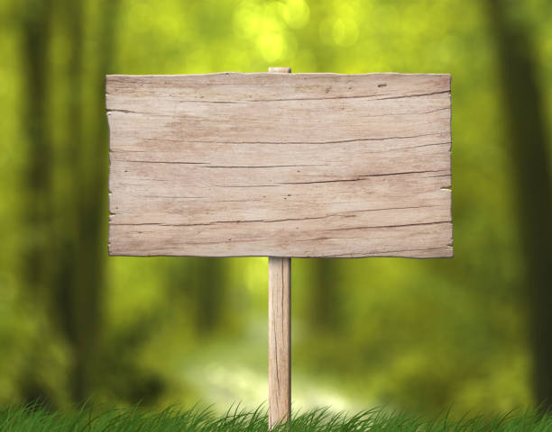 Free Stock Photo of Wooden sign in the forest | Download Free Images ...