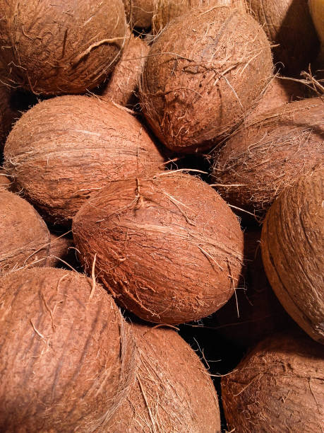 istock Whole raw  whole coconuts for sale at  market . 1159083196