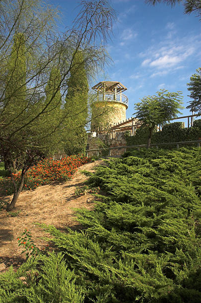 istock Arbor and greeen grass, Malgrat del Mar, Costa Brava, Spain 115908335
