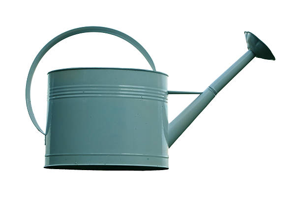 istock Flower Garden Watering Can on White 115908378