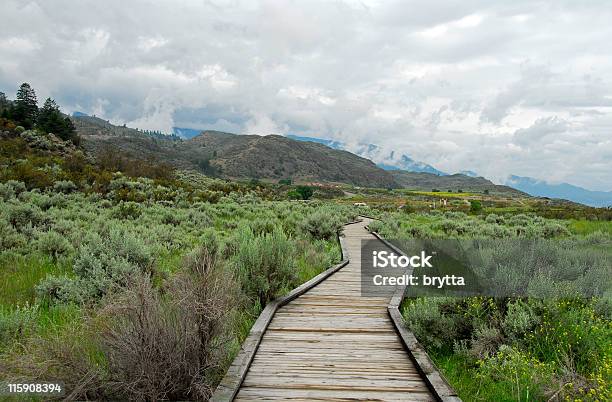 Deserto Columbia Britânica Osoyooscity In British Columbia Canada - Fotografias de stock e mais imagens de América do Norte