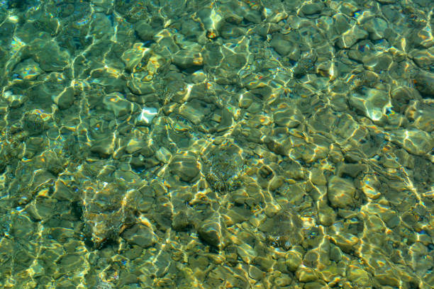 istock background: transparency of sea water, stone bottom in the sun 1159086100