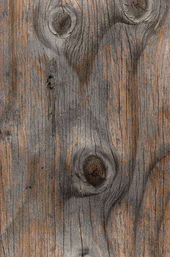 Close-up photograph of a very old tree, showing its weathered bark wood in shades of brown and grey with three knots and vertical grain. Anthropomorphic shot as the shape of a face is in the bark with knots as eyes. The tree bark appears to be very smooth and has vertical wood lines running parallel down its body.