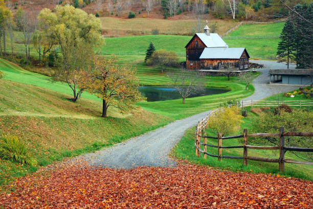 istock Autumn rural country lane 1159091779