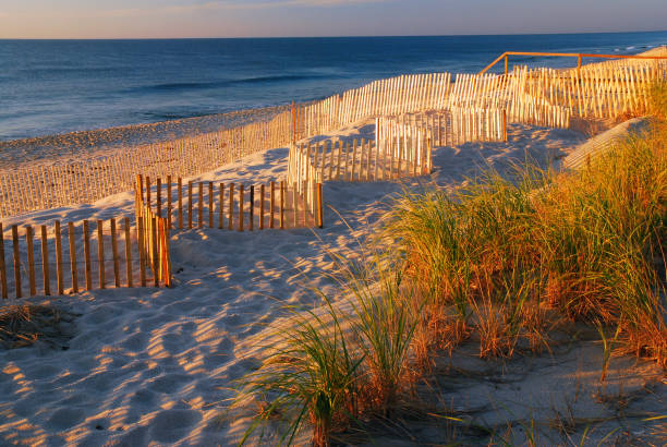 istock Warm early light at the seashore 1159091820