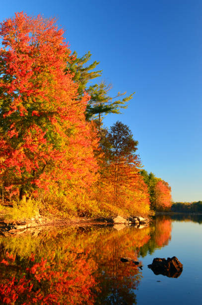 istock Autumn Reflections on a still lake 1159091823