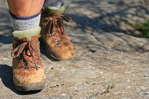 istock Let's go to the top 115909448