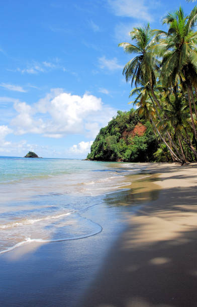 istock The beautiful and pristine Batibou beach (Dominica) 1159095619